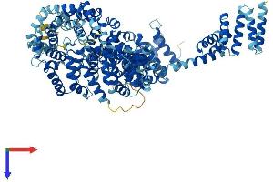 UNC45B Protein (AA 1-931) (His tag)
