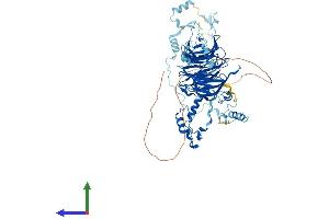 AlphaFold protein structure predicition of Mouse Recombinant Bop1 Protein, UniprotID P97452 (BOP1 Protein (AA 1-732) (His tag))