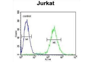 Flow Cytometry (FACS) image for anti-Nucleolar Protein 9 (NOL9) antibody (ABIN3004375) (NOL9 antibody)