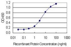 Detection limit for recombinant GST tagged PRPSAP1 is 0. (PRPSAP1 antibody  (AA 175-266))