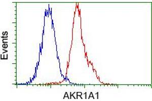 Image no. 4 for anti-Aldo-Keto Reductase Family 1, Member A1 (Aldehyde Reductase) (AKR1A1) antibody (ABIN1496544) (AKR1A1 antibody)