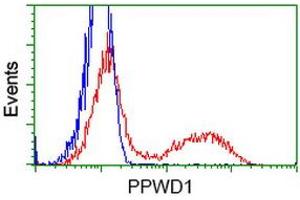 Flow Cytometry (FACS) image for anti-Peptidylprolyl Isomerase Domain and WD Repeat Containing 1 (PPWD1) antibody (ABIN1500394) (PPWD1 antibody)