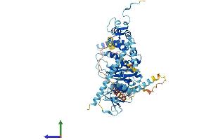 Protein Structure (PS) image for Pescadillo Ribosomal Biogenesis Factor 1 (PES1) (AA 1-588) protein (His tag) (ABIN7550707)