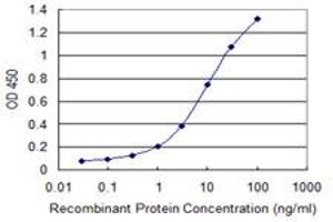 Detection limit for recombinant GST tagged DLL4 is 0. (DLL4 antibody  (AA 123-221))