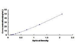 ELISA image for Insulin-Like Growth Factor Binding Protein 1 (IGFBPI) ELISA Kit (ABIN413968)