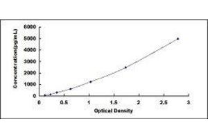 Typical standard curve (Factor VII ELISA Kit)