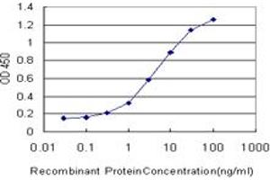 Detection limit for recombinant GST tagged SLC6A4 is approximately 0. (SLC6A4 antibody  (AA 181-252))