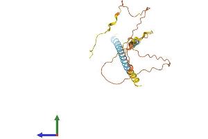 AlphaFold protein structure predicition of Human Recombinant MYCT1 Protein, UniprotID Q8N699 (Myc Target 1 Protein (MYCT1) (AA 1-235) (His tag))