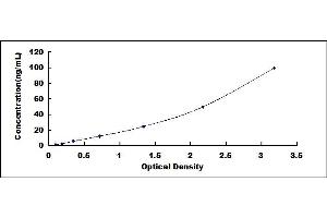 ICAM5 ELISA Kit