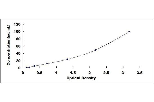 ICAM5 ELISA Kit