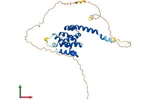 AlphaFold protein structure predicition of Mouse Recombinant Katnbl1 Protein, UniprotID Q9CWJ3 (KATNBL1 Protein (AA 1-299) (His tag))