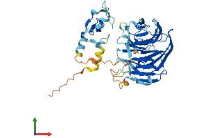 Protein Structure (PS) image for NHL Repeat Containing 1 (NHLRC1) (AA 1-401) protein (His tag) (ABIN7564413)