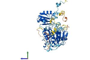 AlphaFold protein structure predicition of Mouse Recombinant Dph2 Protein, UniprotID Q9CR25