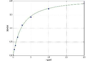 A typical standard curve (KMO ELISA Kit)