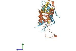 AlphaFold protein structure predicition of Human Recombinant KLF7 Protein, UniprotID O75840