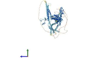 AlphaFold protein structure predicition of Mouse Recombinant Dctn1 Protein, UniprotID O08788