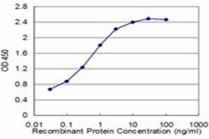 Detection limit for recombinant GST tagged RXRG is approximately 0. (Retinoid X Receptor gamma antibody  (AA 1-75))