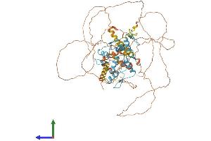 AlphaFold protein structure predicition of Human Recombinant BCL6 Protein, UniprotID P41182