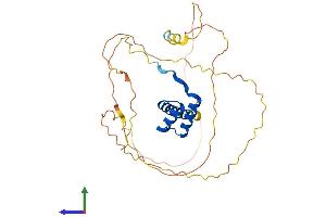 AlphaFold protein structure predicition of Mouse Recombinant Hoxc11 Protein, UniprotID P31313