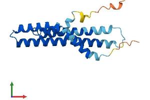 Protein Structure (PS) image for Mitochondrial Fission Process 1 (Mtfp1) (AA 1-166) protein (His tag) (ABIN7560633)