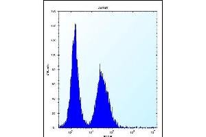 DDIT3 Antibody (Center) (ABIN656987 and ABIN2846170) flow cytometric analysis of Jurkat cells (right histogram) compared to a negative control cell (left histogram). (DDIT3 antibody  (AA 82-110))