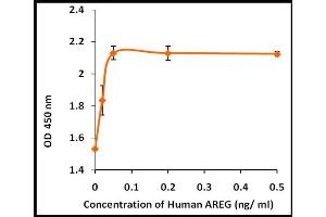 Activity Assay (AcA) image for Amphiregulin (AREG) (Active) protein (ABIN5509497) (Amphiregulin Protein (AREG))