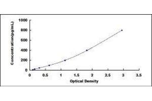 Urocortin (UCN) ELISA Kit
