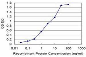 Detection limit for recombinant GST tagged AKR1A1 is approximately 0. (AKR1A1 antibody  (AA 1-325))