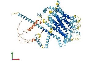 AlphaFold protein structure predicition of Mouse Recombinant Tmc7 Protein, UniprotID Q8C428