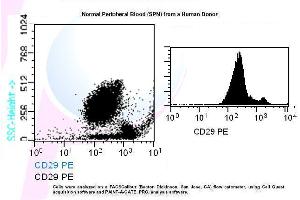 Image no. 1 for anti-Integrin beta 1 (ITGB1) antibody (PE) (ABIN1112109) (ITGB1 antibody  (PE))