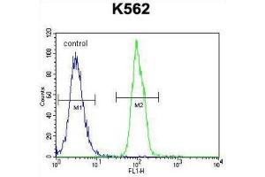 Flow Cytometry (FACS) image for anti-Secreted Frizzled-Related Protein 4 (SFRP4) antibody (ABIN2996265) (SFRP4 antibody)