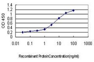 Detection limit for recombinant GST tagged RNF14 is approximately 0. (RNF14 antibody  (AA 217-316))