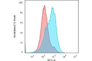 Flow Cytometric Analysis of paraformaldehyde-fixed HepG2 cells using SUMO-1 Mouse Monoclonal Antibody (SM1/495) followed by goat anti- Mouse- IgG-CF488 (Blue); Isotype Control (Red). (SUMO1 antibody)