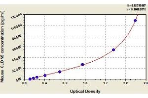 Claudin 5 ELISA Kit