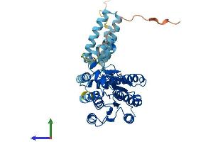 Protein Structure (PS) image for Hydroxysteroid (11-Beta) Dehydrogenase 2 (HSD11B2) (AA 1-405) protein (His tag) (ABIN7547113)