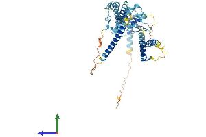 Protein Structure (PS) image for Nuclear Factor of kappa Light Polypeptide Gene Enhancer in B-Cells Inhibitor-Like 1 (NFKBIL1) (AA 1-381) protein (His tag) (ABIN7548562)