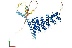 AlphaFold protein structure predicition of Mouse Recombinant Hspbp1 Protein, UniprotID Q99P31