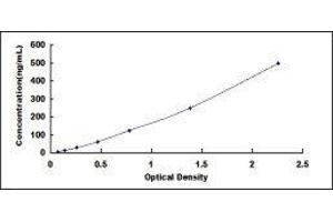 Typical standard curve (Fibrinogen beta Chain ELISA Kit)