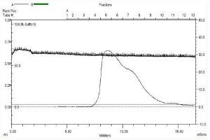 Cadherin 8 (CDH8) (AA 62-621), Gel filtration Superose 6, Fraction 8-9 (Cadherin 8 Protein (CDH8) (AA 62-621) (MBP tag))