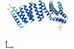 AlphaFold protein structure predicition of Mouse Recombinant Napa Protein, UniprotID Q9DB05 (NAPA Protein (AA 1-295) (His tag))