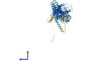 AlphaFold protein structure predicition of Human Recombinant MX1 Protein, UniprotID P20591