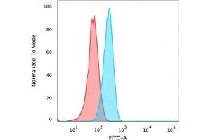 Flow Cytometric Analysis of PFA fixed HeLa cells using Catenin, beta PAb followed by goat anti-rabbit IgG-CF488 (Blue), Isotype Control (Red). (CTNNB1 antibody)