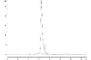 The purity of Human CD42b is greater than 92 % as determined by SEC-HPLC. (CD42b Protein (AA 17-531) (His tag))