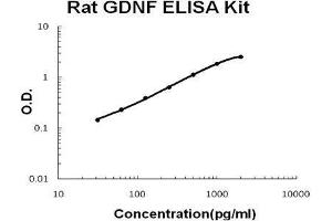 Rat GDNF PicoKine ELISA Kit standard curve (GDNF ELISA Kit)