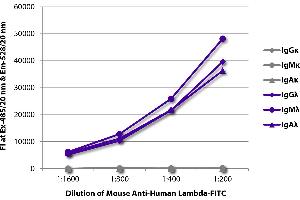 FLISA plate was coated with purified human IgGκ, IgMκ, IgAκ, IgGλ, IgMλ, and IgAλ. (Mouse anti-Human lambda Antibody (FITC))