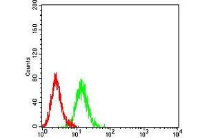 Flow cytometric analysis of K562 cells using P2RY1 mouse mAb (green) and negative control (red). (P2RY1 antibody)