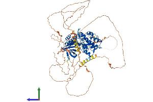 AlphaFold protein structure predicition of Mouse Recombinant Sik1 Protein, UniprotID Q60670 (SIK1 Protein (AA 1-779) (His tag))