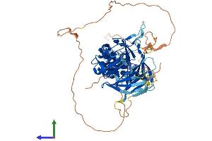 AlphaFold protein structure predicition of Human Recombinant KBTBD11 Protein, UniprotID O94819 (KBTBD11 Protein (AA 1-623) (His tag))