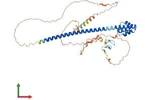 Protein Structure (PS) image for Testis Expressed 13A (TEX13A) (AA 1-409) protein (His tag) (ABIN7544958)