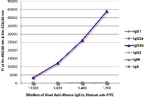 FLISA plate was coated with purified mouse IgG1, IgG2a, IgG2b, IgG3, IgM, and IgA. (Goat anti-Mouse IgG2b (Heavy Chain) Antibody (FITC))